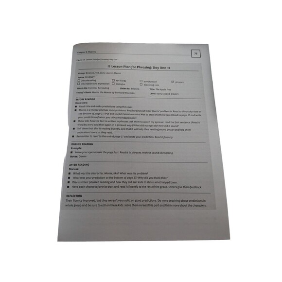 Making The Most Of Small Groups : Differentiation For All By Debbie Miller 2007 - Picture 5 of 8